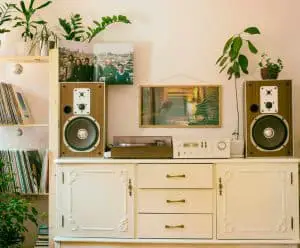 Read more about the article Best speakers for home music