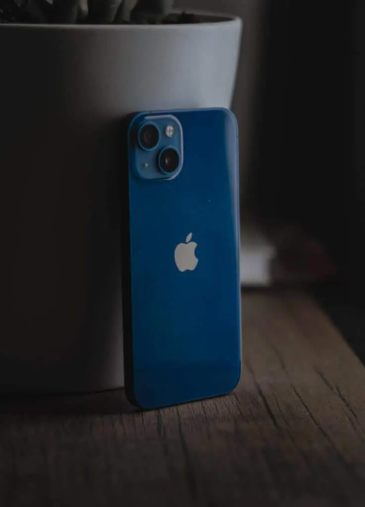 Picture of rear of blue iPhone 13