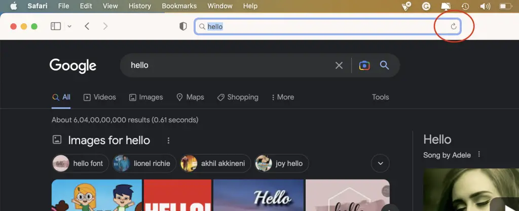 Screenshot of safari browser showing its refresh button